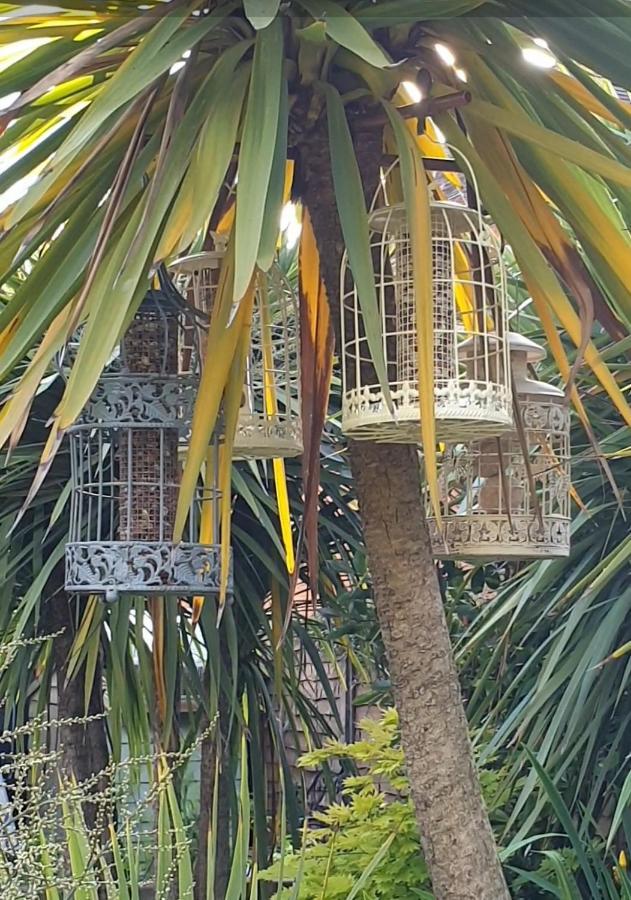 Tropical Garden Oasis Rooms 伯明翰 外观 照片