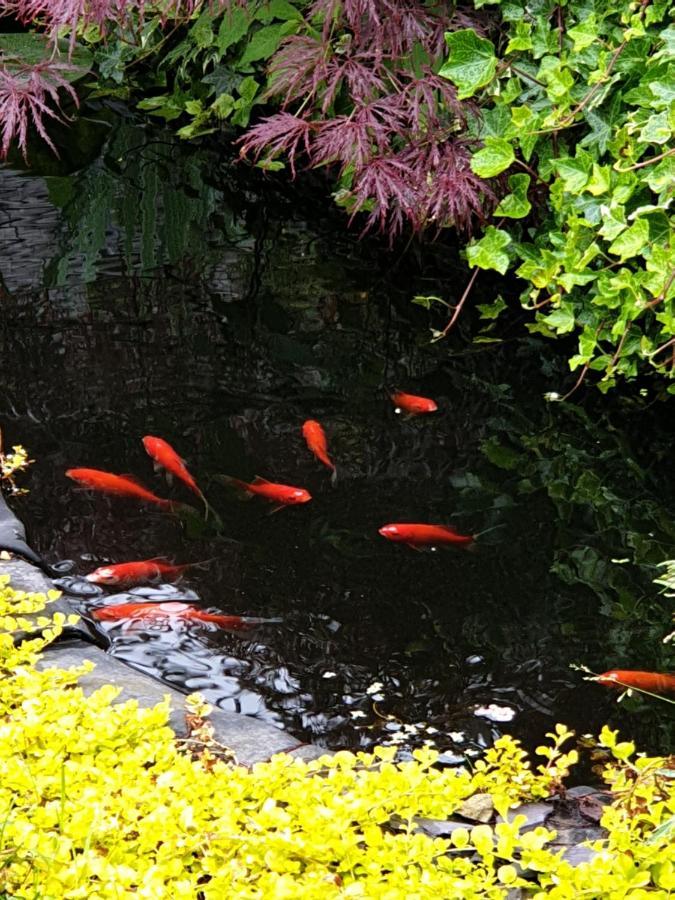 Tropical Garden Oasis Rooms 伯明翰 外观 照片