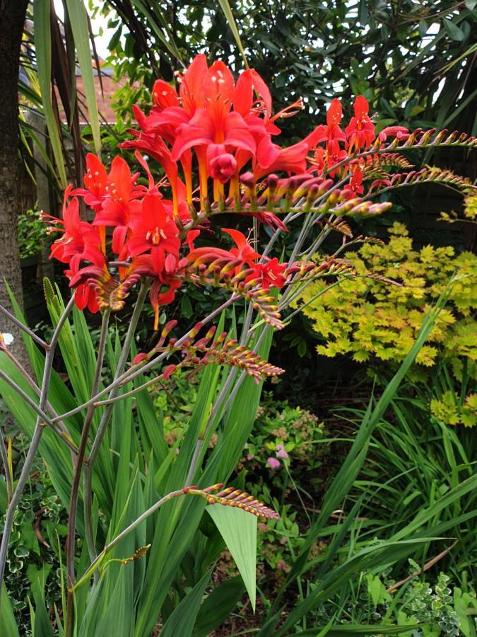Tropical Garden Oasis Rooms 伯明翰 外观 照片