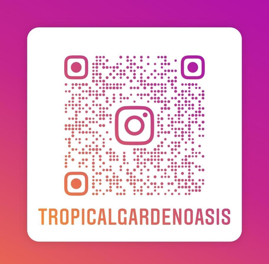Tropical Garden Oasis Rooms 伯明翰 外观 照片