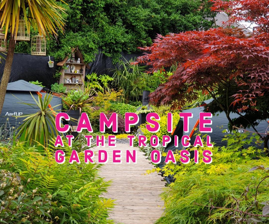Tropical Garden Oasis Rooms 伯明翰 客房 照片